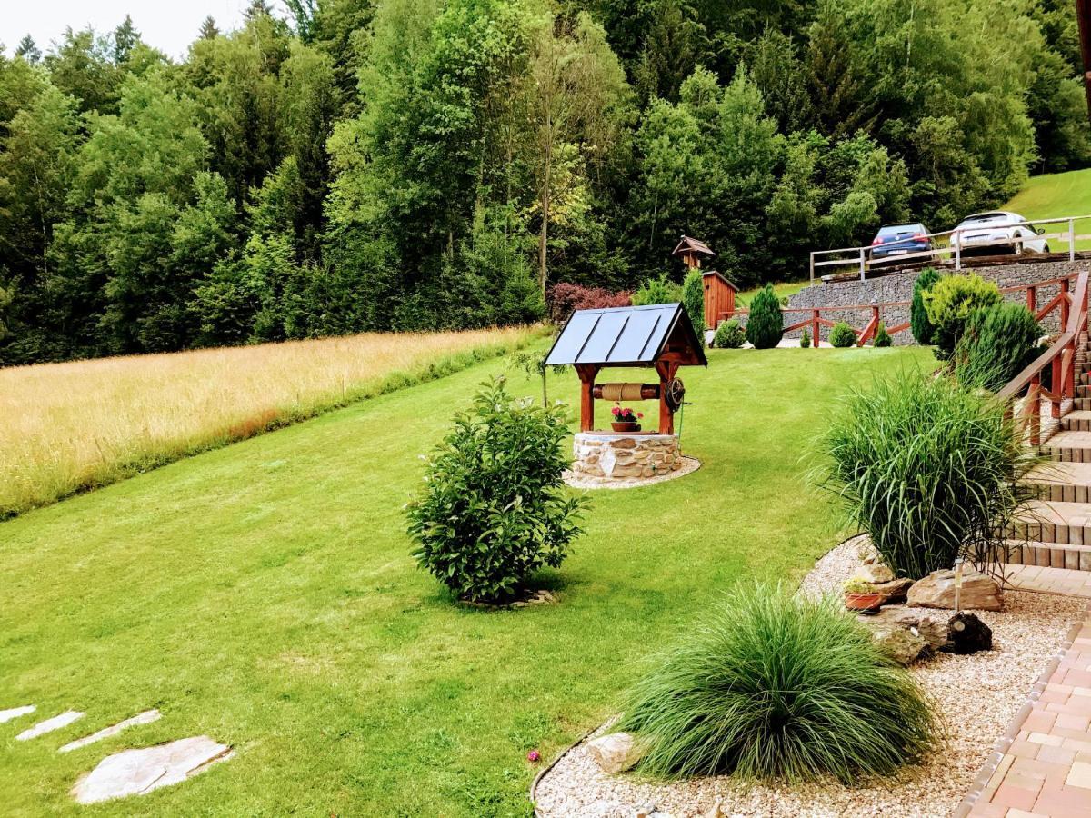 Hotel Na Planyrce Paseky nad Jizerou Exterior foto
