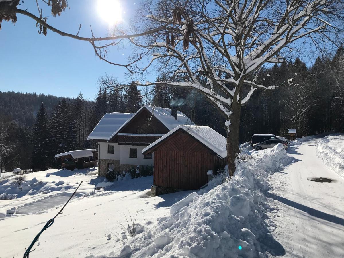 Hotel Na Planyrce Paseky nad Jizerou Exterior foto